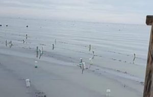 Seorang Pengunjung Pantai Elyora Jembatan 6 Barelang Tewas Tenggelam Saat Kegiatan Tadabur Alam