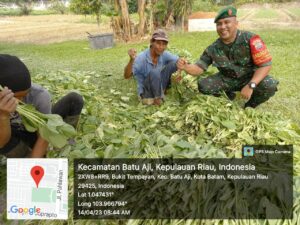 Para Petani Sayur di Kelurahan Bukit Tempayan Dihimbau Selalu Waspada Terhadap Cuaca Panas