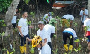 Dalam Rangka Menyambut Hari Lingkungan Hidup Sedunia,PT PLN Batam Tanam Bibit Mangrove dan Pungut Sampah di Desa Wisata Kampung Terih