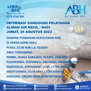 Pelanggan Air Batam Hilir, Menginformasikan Terjadi Kebocoran Pipa Di Depan Kepri Mall