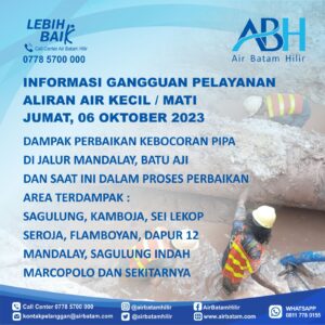 Pelanggan Air Batam Hilir,