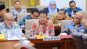Kepala BP Batam Paparkan Kinerja Anggaran dalam RDP bersama Komisi VI DPR RI