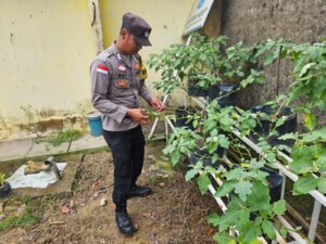 Dukung Asta Cita Presiden RI , Polsek Sagulung Laksanakan Program Ketahanan Pangan