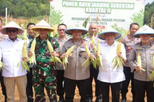 Kapolda Kepri Tegaskan Komitmen Dukung Ketahanan Pangan di Panen Raya Jagung