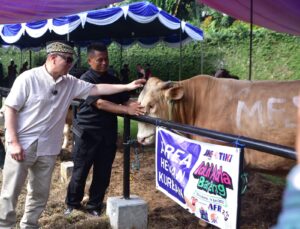 JNE Indonesia Rayakan Idul Adha dengan Semangat Berbagi dan Promo Spesial