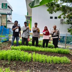 Polsek Bulang Panen Cabe Sebagai Bentuk Dukungan Ketahanan Pangan dalam Program Asta Cita Presiden RI