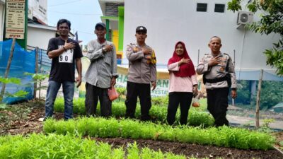 Polsek Bulang Panen Cabe Sebagai Bentuk Dukungan Ketahanan Pangan dalam Program Asta Cita Presiden RI