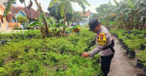 Bhabinkamtibmas Polsek Batam Kota Dukung Ketahanan Pangan Bersama KWT Srikandi