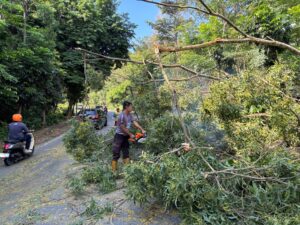Sigap Tanggapi Laporan Warga, Sat Samapta Polresta Barelang Evakuasi Pohon Tumbang di Jalan Gajah Mada