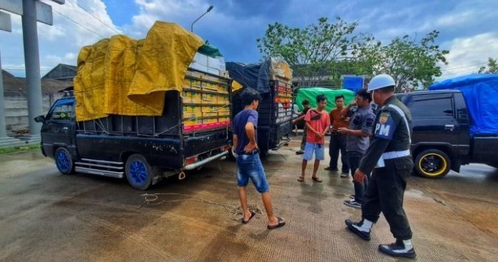 POMAD & Bea Cukai Gerebek Pelabuhan Tanjung Uban, Pikap dari Batam Diperiksa Satu per Satu!
