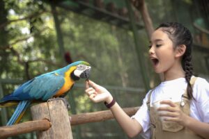 Panbil Nature Reserve Hadirkan Promo Seru “School Break” Selama Libur Sekolah Juli 2025