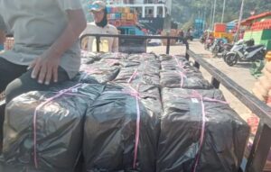 Digerebek! Ribuan Kaleng Mikol Ilegal Diselundupkan ke Anambas, Polisi dan Bea Cukai Turun Tangan!