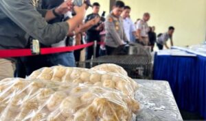 Geger di Batam! Polda Kepri Gagalkan Penyelundupan 2.020 Telur Penyu ke Singapura, Nilainya Rp60 Juta!