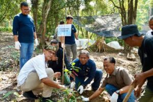 PLN Batam Bangun Aula dan Tanam 300 Pohon di Agrowisata Lembah Pelawan, Bikin Petani Makin Sukses!