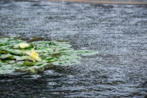 Warga Batam, Siapkan Payung! Hujan Sepanjang Hari & Petir di Dua Wilayah pada 13 Agustus 2025