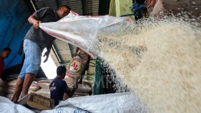 Harga Beras Makin Naik! Perpadi Ungkap Kebijakan Bulog Serap 1 Juta Ton Gabah Jadi Biang Kerok