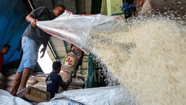 Harga Beras Makin Naik! Perpadi Ungkap Kebijakan Bulog Serap 1 Juta Ton Gabah Jadi Biang Kerok