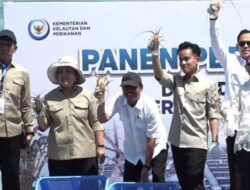 Panen Perdana Lobster di Batam, Wapres Gibran: “Anak Muda Harus Terlibat!”