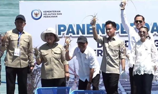 Panen Perdana Lobster di Batam, Wapres Gibran: “Anak Muda Harus Terlibat!”