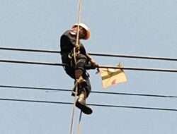 Terungkap! PLN Batam Sebut Pemadaman Listrik di Piayu Akibat Layang-Layang & Pohon Tumbang