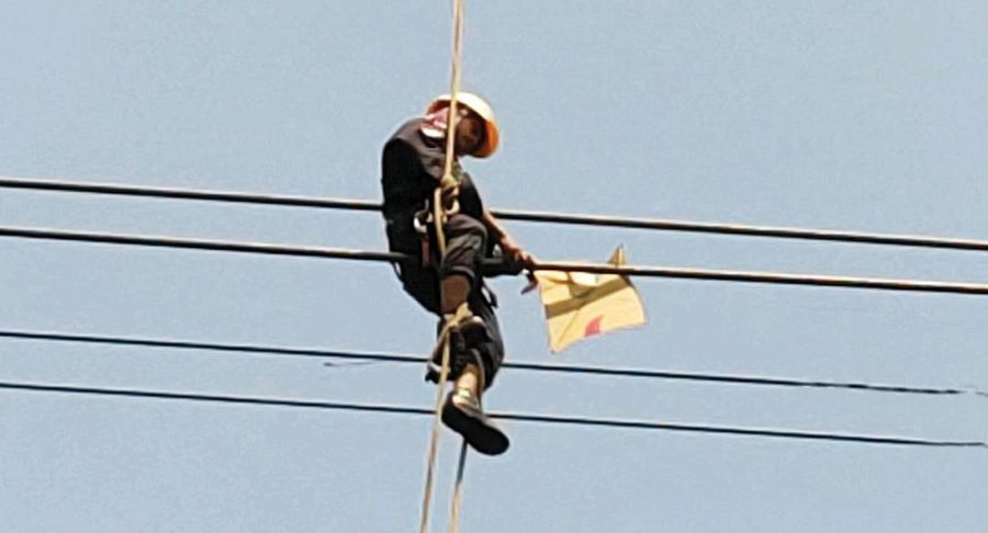 Terungkap! PLN Batam Sebut Pemadaman Listrik di Piayu Akibat Layang-Layang & Pohon Tumbang