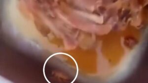 Viral! Program Makan Bergizi di SMAN 14 Batam Dikecam Usai Siswa Temukan Kecoa di Makanan