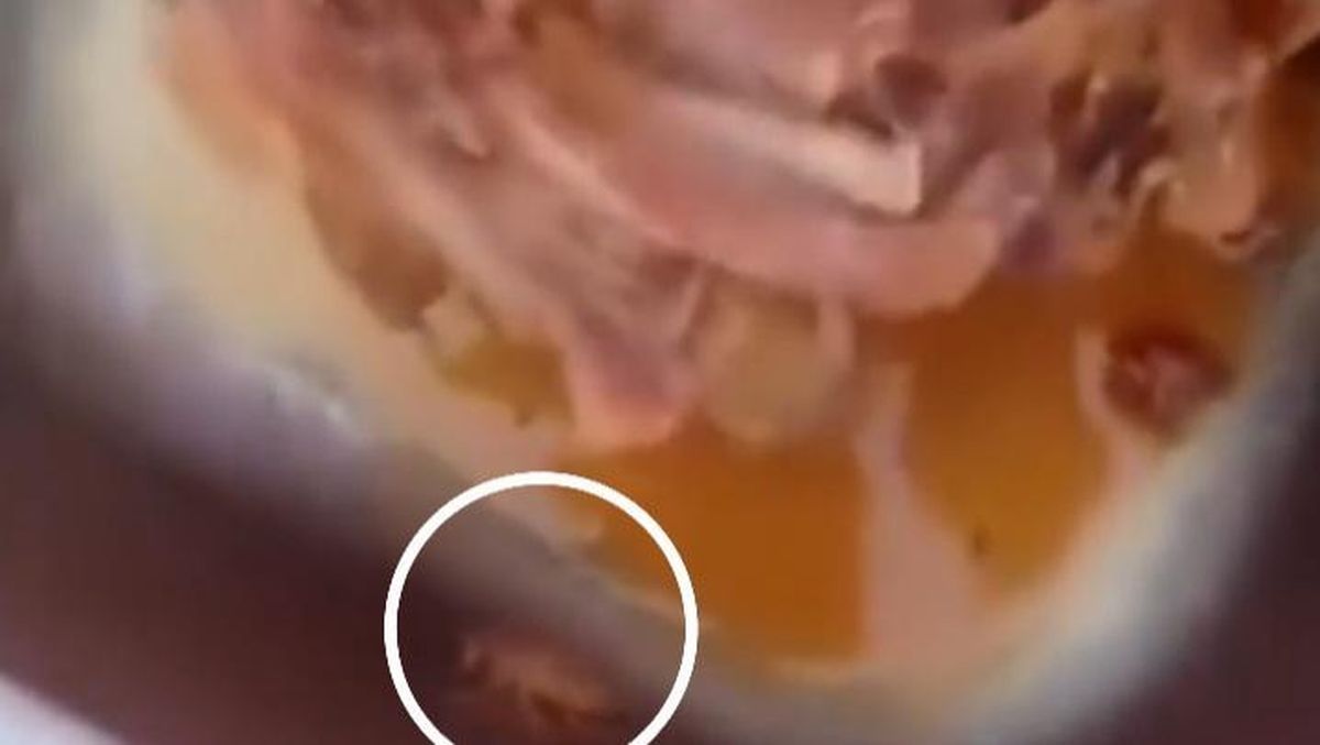 Viral! Program Makan Bergizi di SMAN 14 Batam Dikecam Usai Siswa Temukan Kecoa di Makanan