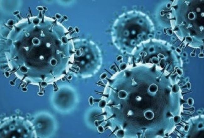 Influenza Melanda Malaysia, Batam Tingkatkan Kewaspadaan di Musim Hujan