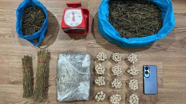 Polisi Gerebek Bukit Senyum! Pria 55 Tahun Ditangkap dengan 2,6 Kg Ganja Siap Edar di Batam