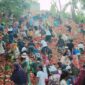 Viral! Warga Temukan Gunungan Bawang Membusuk di Tanjung Sengkuang Batam