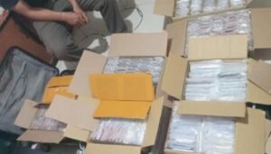 Bea Cukai Batam Gagalkan Penyelundupan 797 iPhone dalam Honda CR-V, Nilainya Capai Miliaran!