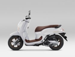 Scoopy Hadirkan Warna Baru, AHM Perkuat Segmen Skutik Fashionable di Pasar Nasional