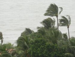 Prakiraan Cuaca Kota Batam: Potensi Petir dan Angin Kencang Sepanjang Hari