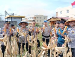 Polresta Barelang Panen Raya Jagung Kuartal IV : Langkah Strategis Menuju Swasembada Pangan 2025