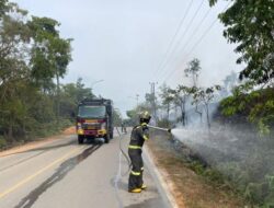 Ditsamapta Polda Kepri Padamkan Karhutla di Nongsa, Kebakaran Semak Belukar Berhasil Dikendalikan