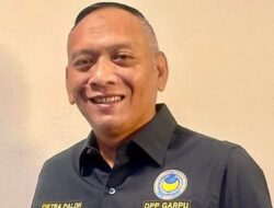 Era Baru NasDem Kepri, Pietra Machreza Paloh Gantikan Amsakar Achmad