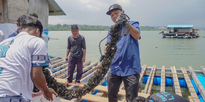 Lobster Lokal Serbu Meja Imlek 2026! Hasil Budi Daya KKP dari Batam Laris Manis