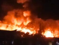 Api Mengamuk di Kawasan Industri Sagulung! Pabrik Kimia Terbakar Hebat Selama 2 Jam