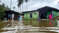 Air Laut Mendadak Naik di Batam, Permukiman Pesisir Mulai Tergenang Saat Fase Bulan Purnama