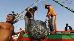 Pasar Singapura Makin Prospektif, Diskan Batam Optimistis Ekspor Ikan Tembus 6.500 Ton