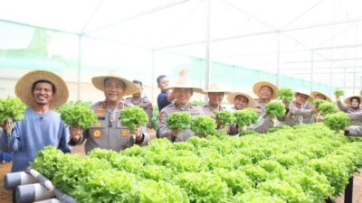 Bukan Sekadar Polisi! Polda Kepri Sukses Panen Sayuran Hidroponik, Ini Hasilnya
