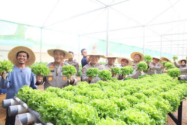 Bukan Sekadar Polisi! Polda Kepri Sukses Panen Sayuran Hidroponik, Ini Hasilnya