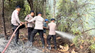 Api Mengamuk di Pantai Nirwana dan Bukit Daeng, Begini Aksi Cepat Tim Karhutla Polda Kepri