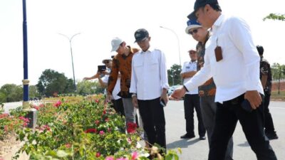 Hari Pertama Kerja Usai Lebaran, Amsakar Sidak Proyek Batam! Taman Gersang hingga Drainase Jadi Sorotan