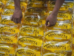 Sempat Langka di Batam, Stok Minyakita Kini Mulai Normal! Bulog Pastikan Harga Tetap Rp15.700