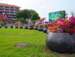 Penataan Pot Bougenville Perkuat Estetika Kota Tanpa Bebani Keuangan Negara