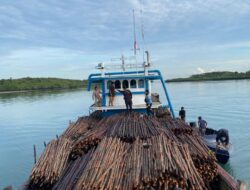 Polairud Polda Kepri Gagalkan Penyelundupan 12 Ribu Batang Bakau ke Singapura