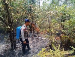 Ratusan Titik Api Terdeteksi, Polisi Bongkar Penyebab Karhutla di Kepri