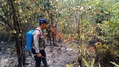 Ratusan Titik Api Terdeteksi, Polisi Bongkar Penyebab Karhutla di Kepri
