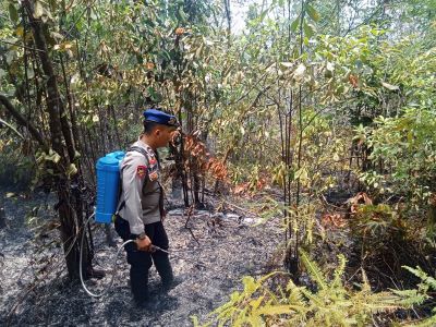 Ratusan Titik Api Terdeteksi, Polisi Bongkar Penyebab Karhutla di Kepri